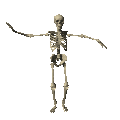 Kopie von skelett_0099